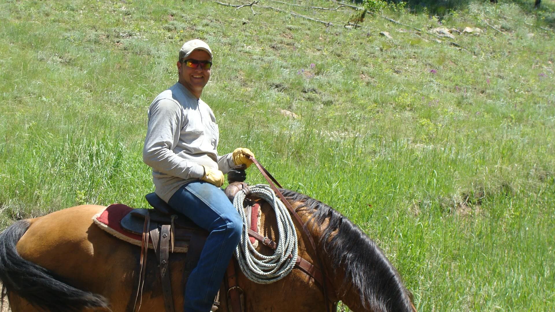 A rancher on horseback with a coiled rope on the saddle, crossing a green hillside