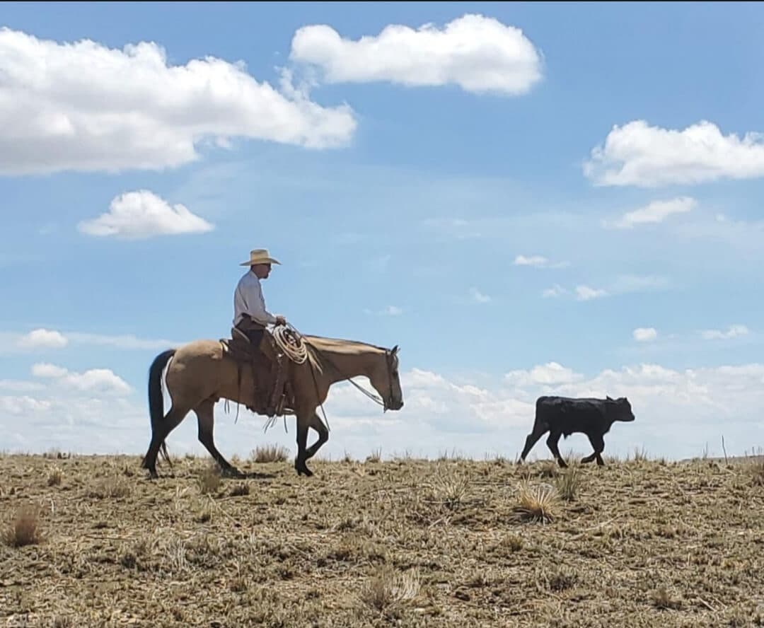 A rider in a straw hat trailing a black calf across shortgrass prairie under tall clouds